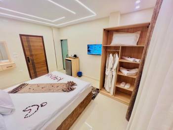 Deluxe Double or Twin Room with City View2