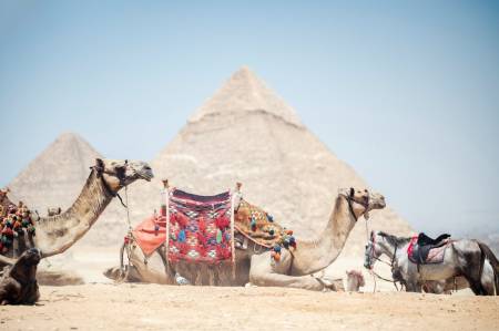 Karma Pyramids View Hotel Karma Pyramids View Hotel3